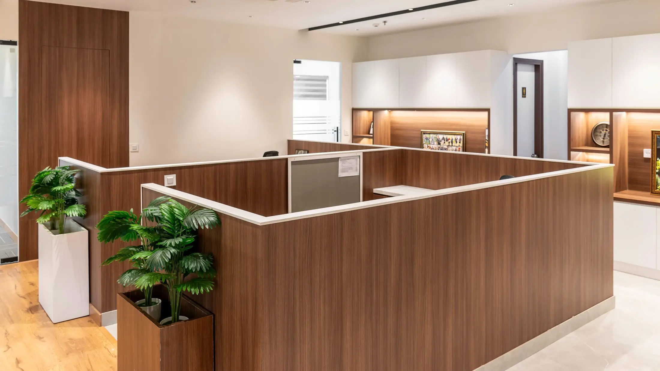 Mostrador de recepción de madera con plantas a los lados en la entrada de una oficina